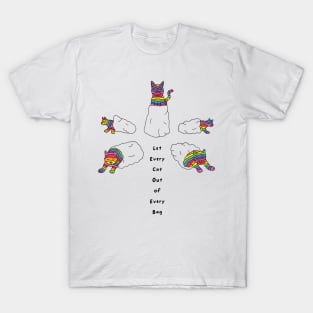 Let Every Cat Out of Every Bag T-Shirt